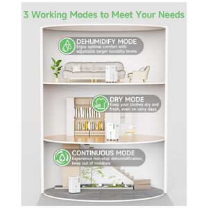 image-90775967dbda46448c0952fef2ba1393