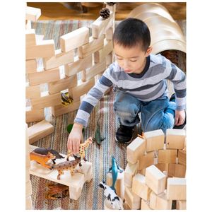 image-35a3ed08c9ec4e2491a7deb8362d8589