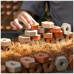 image-6b9d717d4a014a559a0376da29c4e625