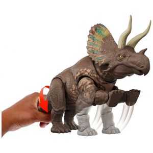 image-d21fb86343b94bb88504a355dbfc8bf4