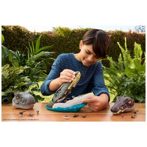 image-8abea29260ec4b7ab9674199d933ae14