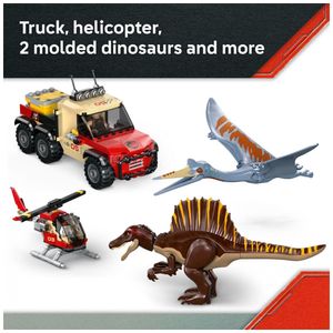 image-e8ffeabe95bc4561bf552e21778c8169