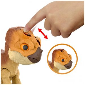 image-d12170e61dd243ae95d5d87391be4754