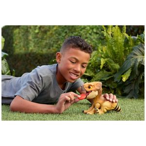 image-5c5ac4c6838a40128a916e8171fd3ea1