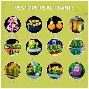 image-d8dcf9aa89ac4bde944eeef0217945e8