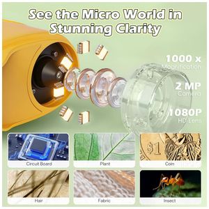 image-1f1a724eeef64127a9aa4da96fb1c281