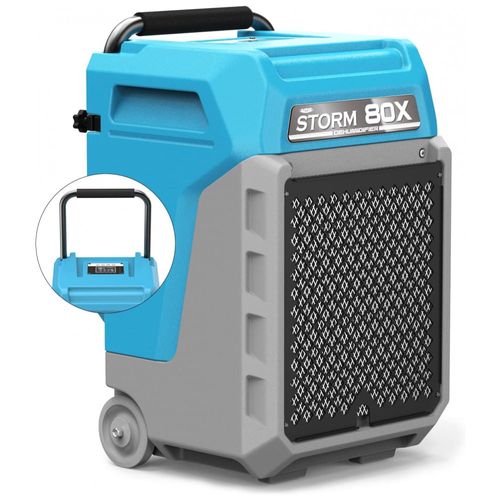 image-e476565f87844f1ba7106a45483deb86 image-e476565f87844f1ba7106a45483deb86