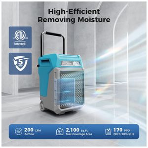 image-f750c746120444c2a4b00669ec1a9e25