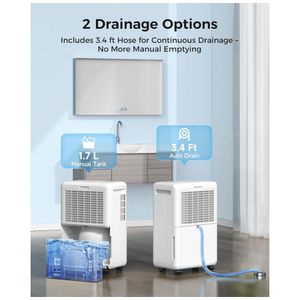 image-977f7407dc874ee2aff9d232453687fc