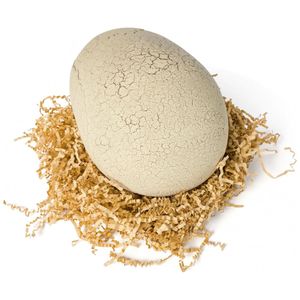 image-c25f523723794e4db378f127884083dd