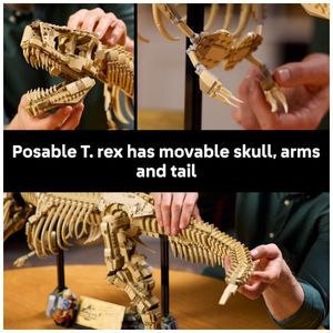 image-2369582a9c6148a5905ea899e0edd9ce