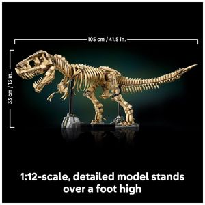 image-f54df21034464855a123ef00ada75108