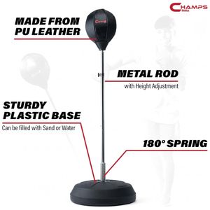 image-0aba173eaf2c4806a130048e4c0069b4