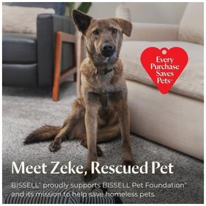 image-199d18cc51fd4cdba4e83c8e8d4927b9