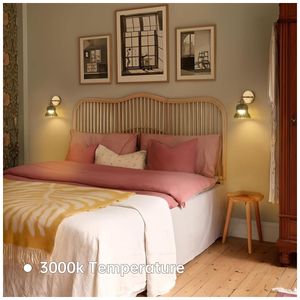 image-303ca650eaed42f69349593e15cfe559