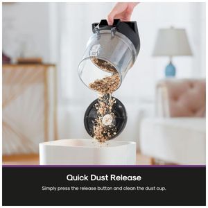 image-a87bf65905a14aca9f7c982b83a33aa2