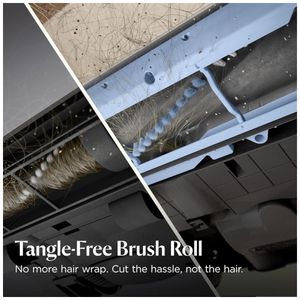 image-7f26820d650d4f59bea7f6f0aea50040