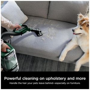 image-5909d4484b5e4b5b8b33badbb3f21b22