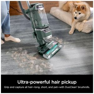 image-6249c888b0f34ffca04ec88113b8738b