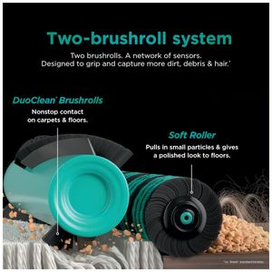 image-ace9fb4beb354df8b7875999e3e921a5