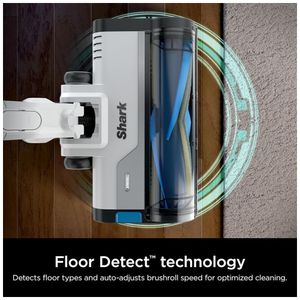 image-8ea91cbda8a64b5f8ff3d902ae64c4fb