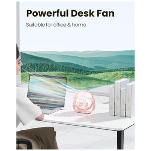 image-a95f7090bf034160a7e6f404170d09b6