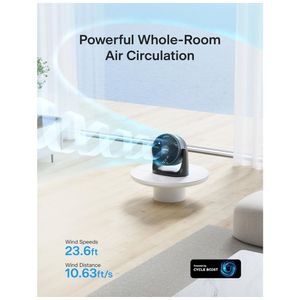 image-ca9cf9e794d14520a262a63b0069fe5c