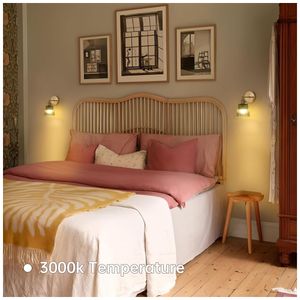 image-3774f799d4d84106a577546ebe70d28c