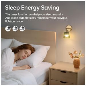 image-4625309100b54799b0c06b77601e87aa