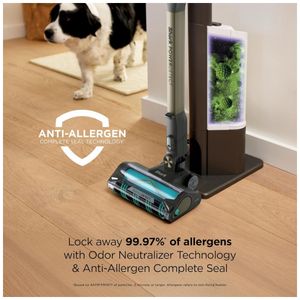 image-89e3ce4727b84005abbe429ff9ddc504