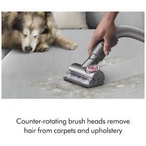 image-a56bca1a255d492d9f009c0c85970f1a