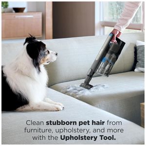 image-3a43b10759e247c781ef4c12b384ef78