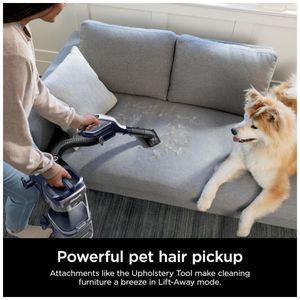 image-ee5bd75bc6b8429ebfda4bf365561e25