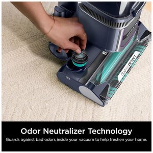 image-d17907c99df641cd90a559a1ed06a4c9