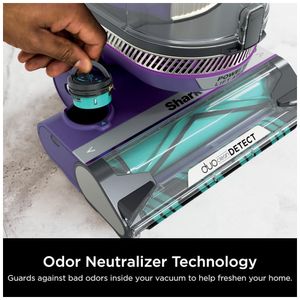 image-52499ca38efc4d36bf824e0c52343884