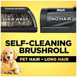 image-a9cc7d72c81a42039c8b2a6232321aae