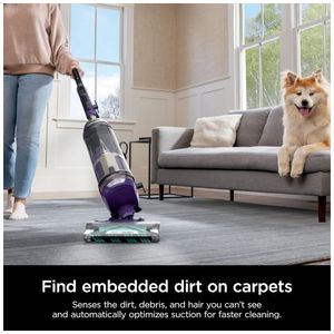 image-6e9890156ca54e35a2705a5bebef5048