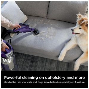 image-f6878eb23b694d6e8d9c5817cda4d852