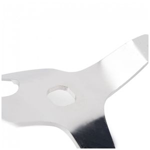 image-fbebc359a3984729a13f5066556d4d38