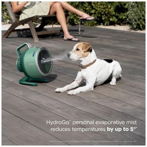 image-74a914a04ebe4088b687a72064ea09ea