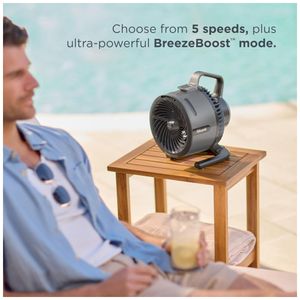 image-7fdba1e3aac747368cd7161a46485d9f