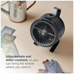 image-5a278d732b9a49d49bbf5ca4d8aa3107