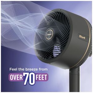 image-7ba9ba2171ed41479860ce1e35a06358