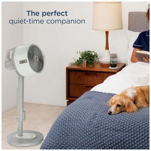 image-237b9f930b684ea388010c6104362032