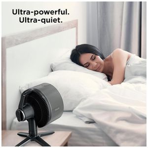 image-ebf2f59cf8144a648287db4411647773