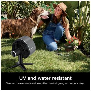 image-2a29dbbf19eb4b6fab55362ce0f8a2d3