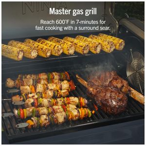 image-975b3ad6e2a346c582216ffeceba01c1