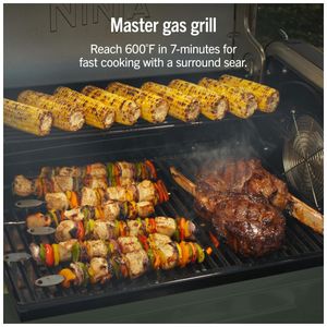 image-b295adeaa7e44ec8bea843cc5a3e319c