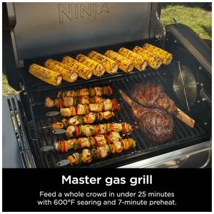 image-ba5a0af3b7064527a349e64132a8ca70