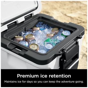 image-0df2b9b7784a4075bfda7f85f66f28cc